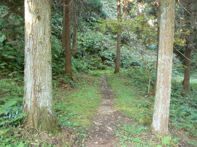 P1090424-2048.jpg