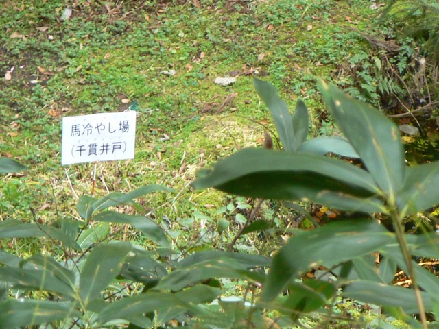 P1090425-2048.jpg