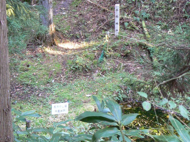 P1090426-2048.jpg