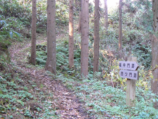 P1090427-2048.jpg