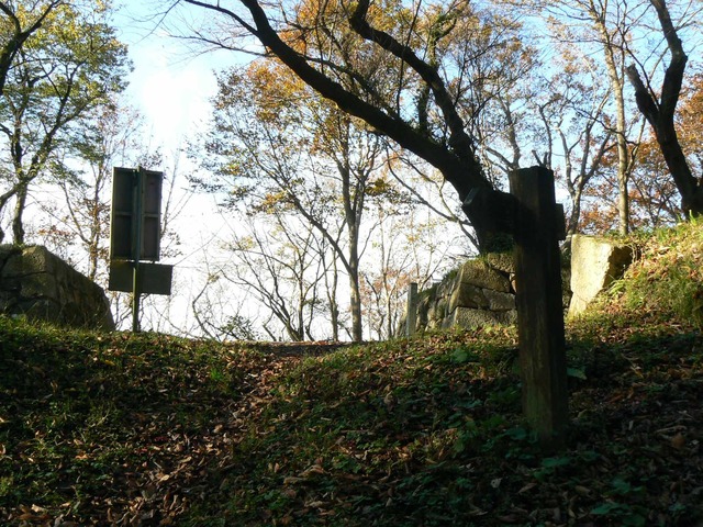 P1090431-2048.jpg