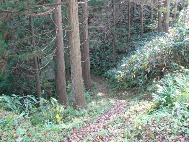 P1090432-2048.jpg