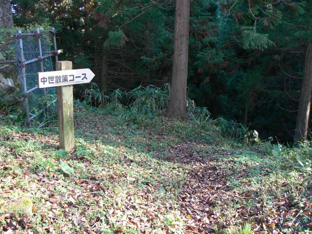 P1090453-2048.jpg