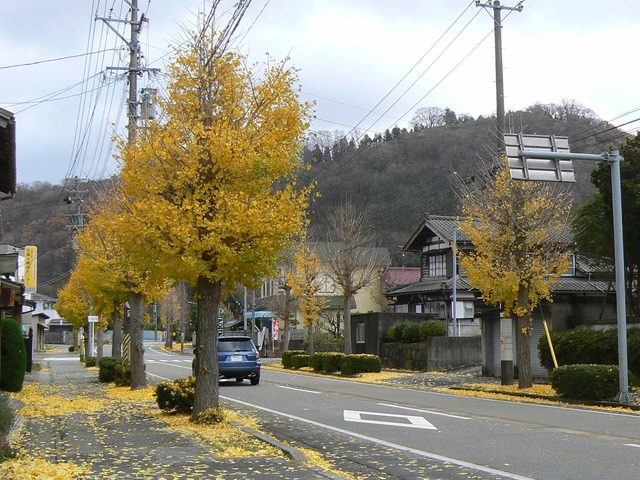 P1090488-2048.jpg