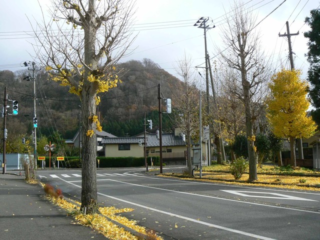 P1090492-2048.jpg