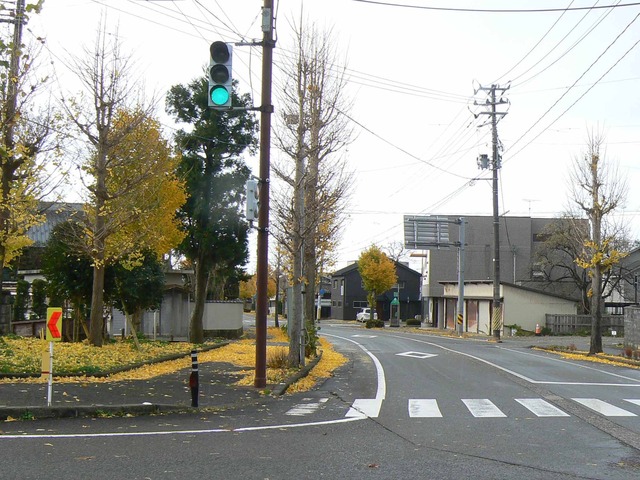 P1090493-2048.jpg