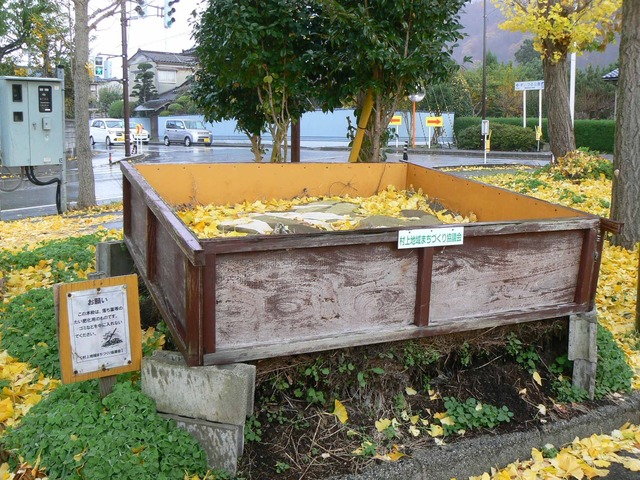 P1090500-2048.jpg