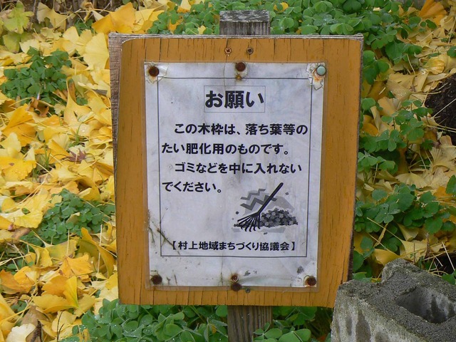 P1090501-2048.jpg