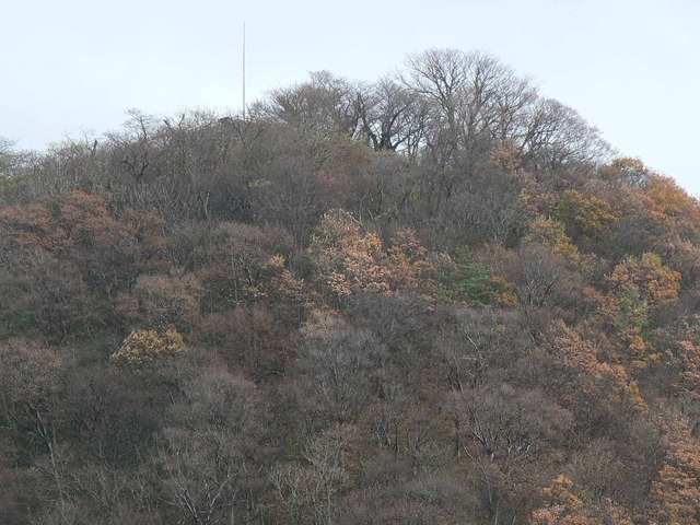 P1090513-2048.jpg