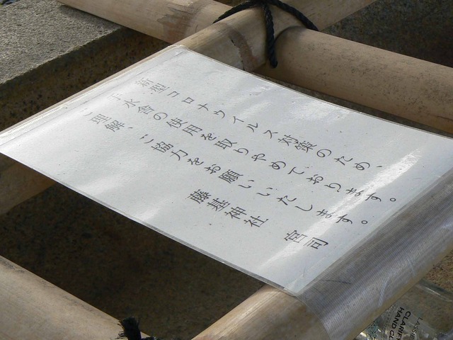 P1090518-2048.jpg