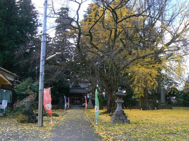 P1090522-2048.jpg