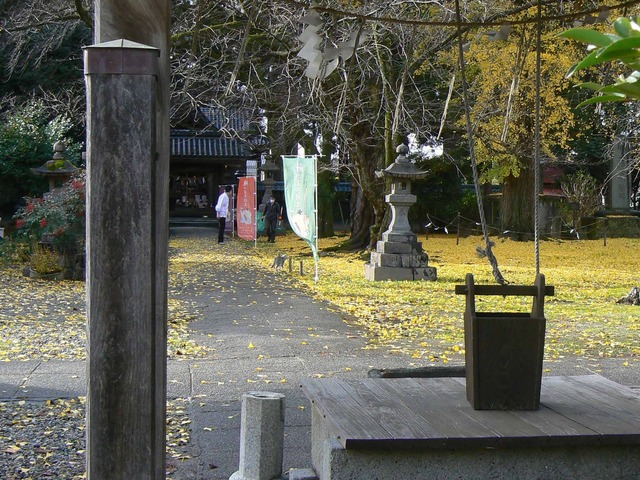 P1090531-2048.jpg