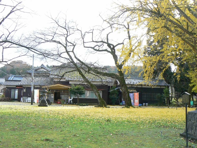 P1090539-2048.jpg