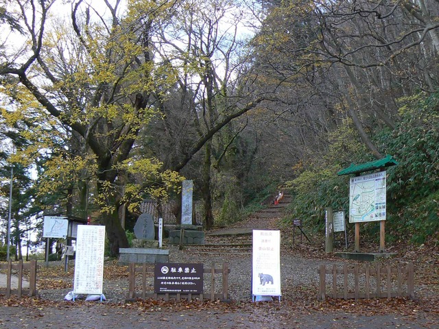 P1090554-2048.jpg