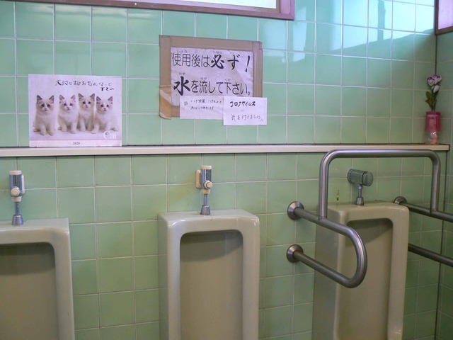 P1090556-2048.jpg
