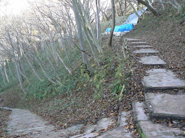 P1090561-2048.jpg
