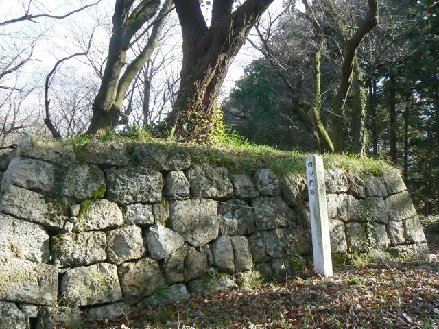 P1090564-2048.jpg