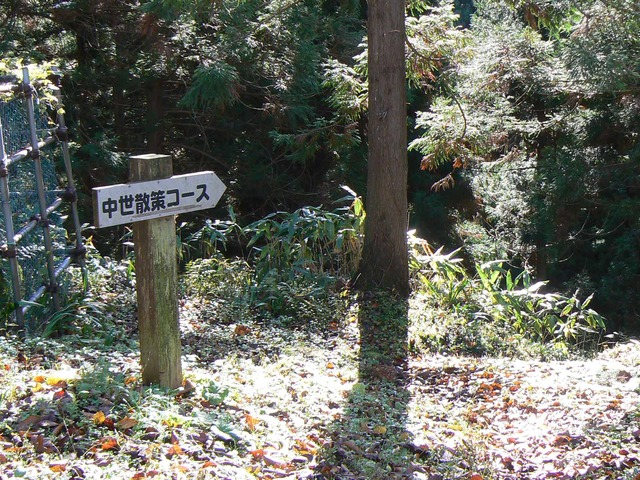 P1090566-2048.jpg