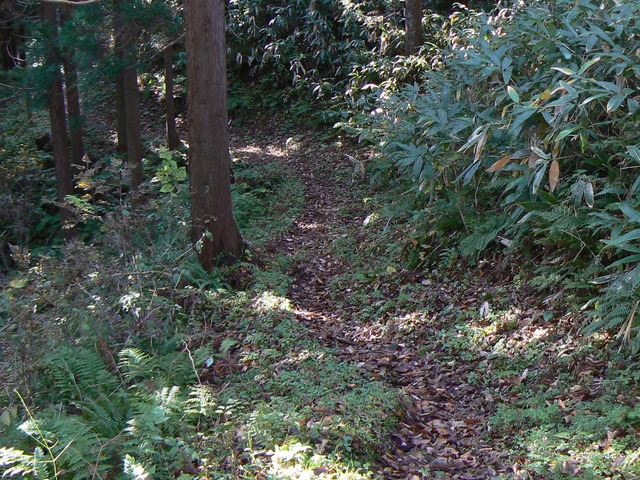 P1090568-2048.jpg