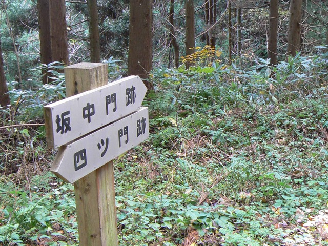 P1090570-2048.jpg