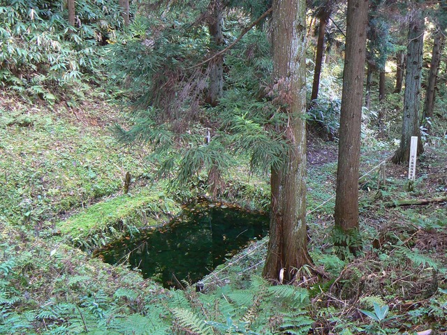 P1090575-2048.jpg