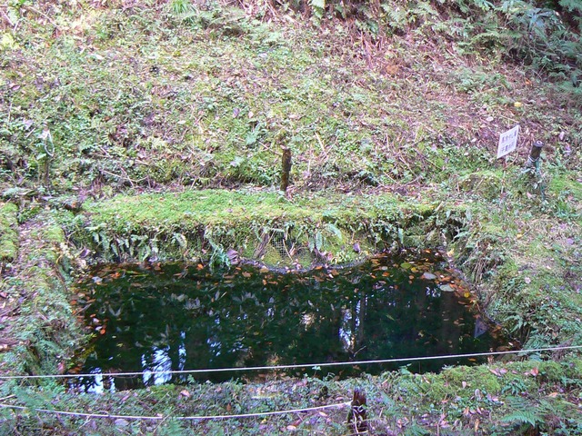 P1090577-2048.jpg