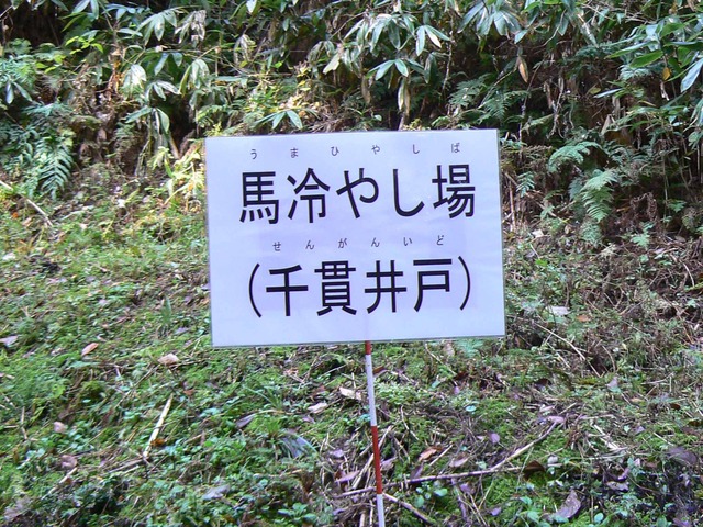 P1090582-2048.jpg