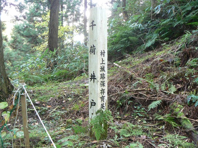 P1090591-2048.jpg