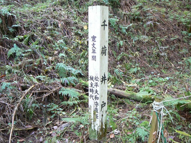 P1090595-2048.jpg