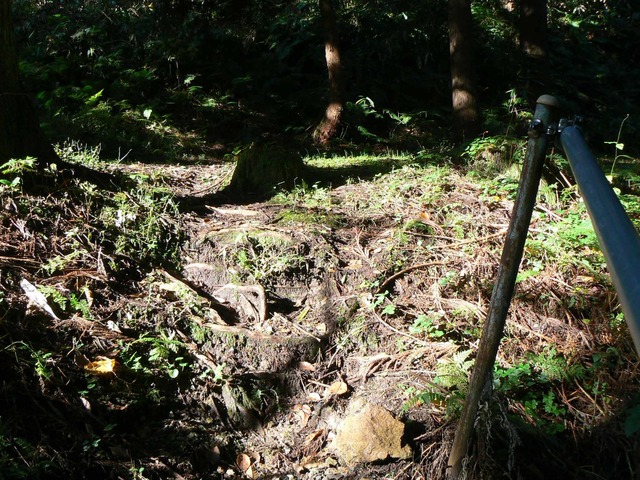 P1090599-2048.jpg