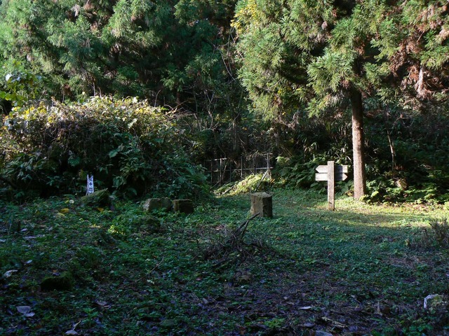 P1090602-2048.jpg