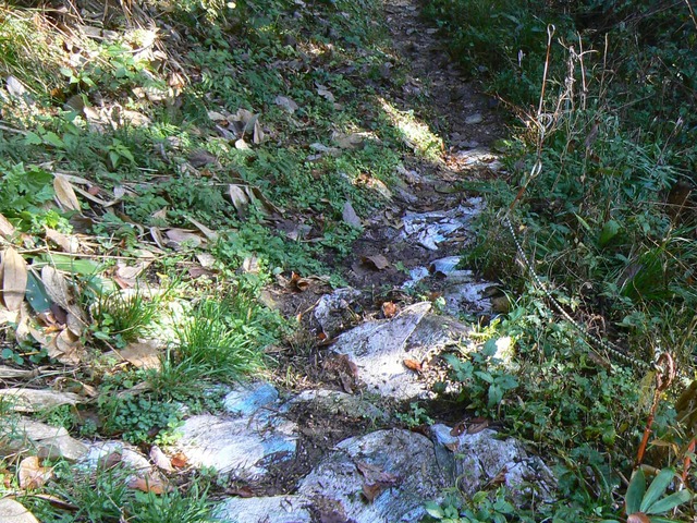 P1090608-2048.jpg