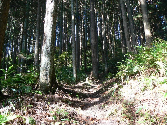 P1090629-2048.jpg