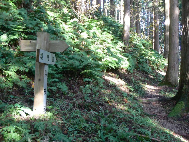 P1090632-2048.jpg