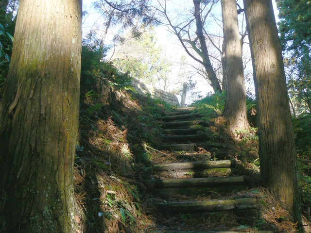 P1090635-2048.jpg