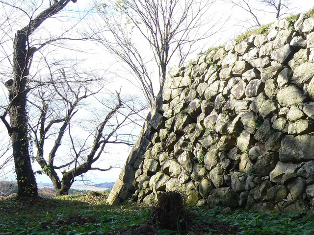 P1090638-2048.jpg