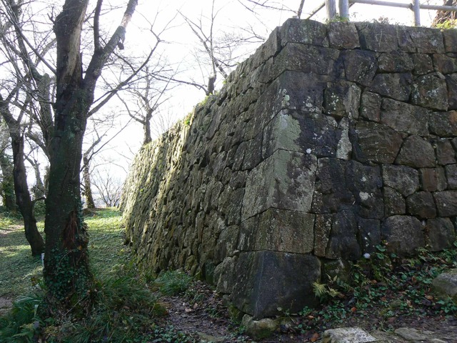 P1090644-2048.jpg