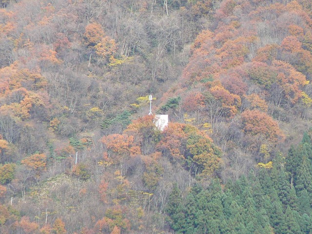 P1090656-2048.jpg
