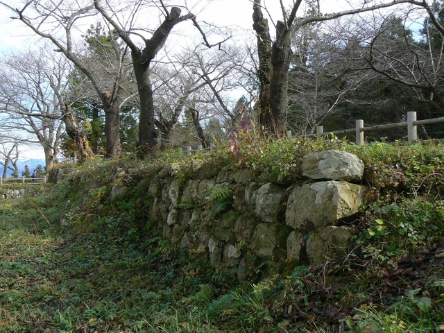 P1090667-2048.jpg