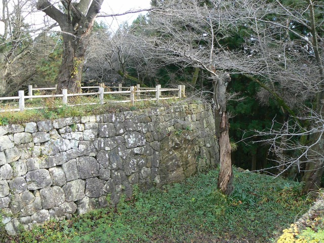 P1090674-2048.jpg