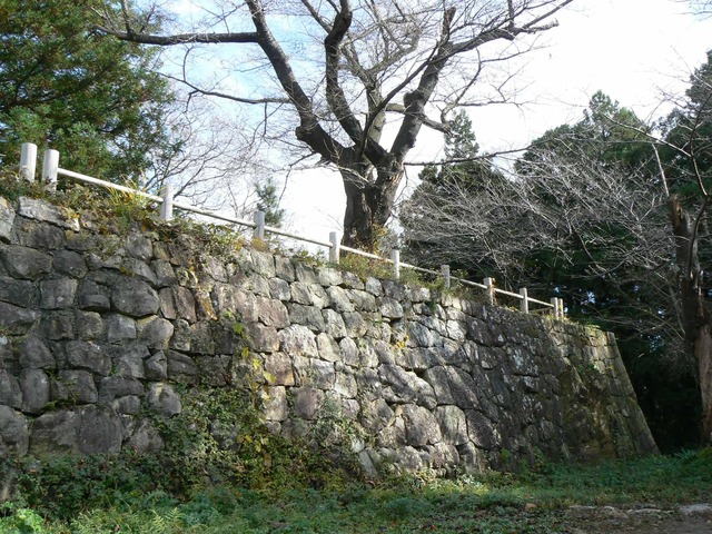 P1090677-2048.jpg