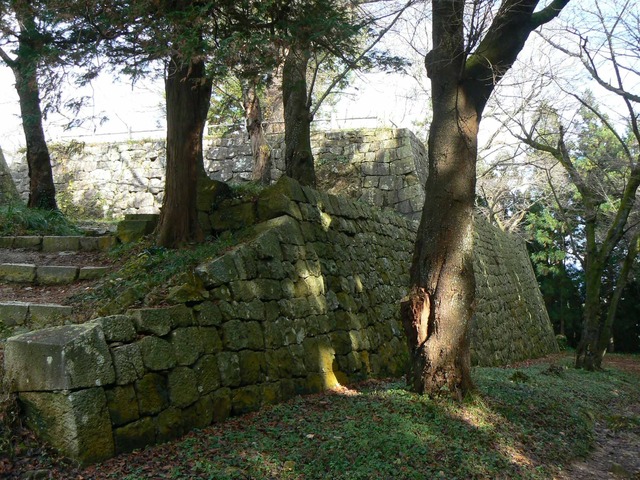 P1090678-2048.jpg