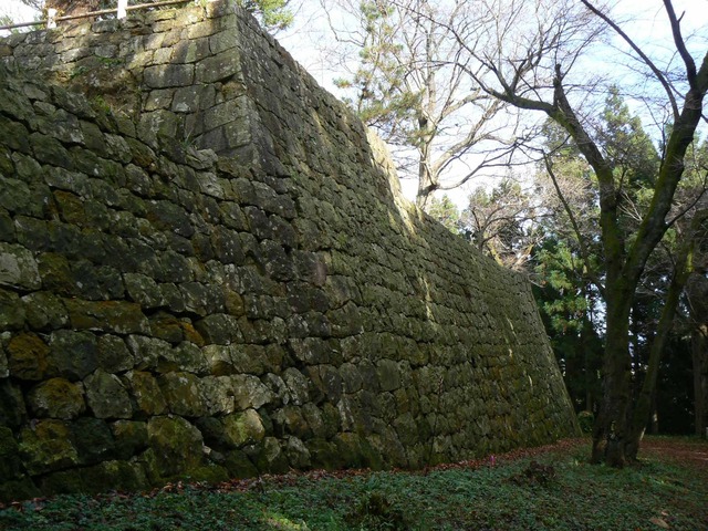 P1090679-2048.jpg
