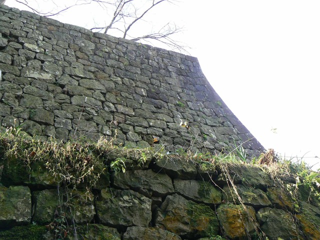 P1090689-2048.jpg