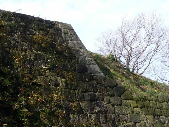 P1090691-2048.jpg