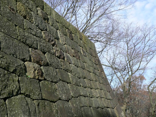 P1090695-2048.jpg