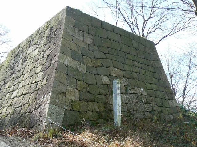 P1090698-2048.jpg