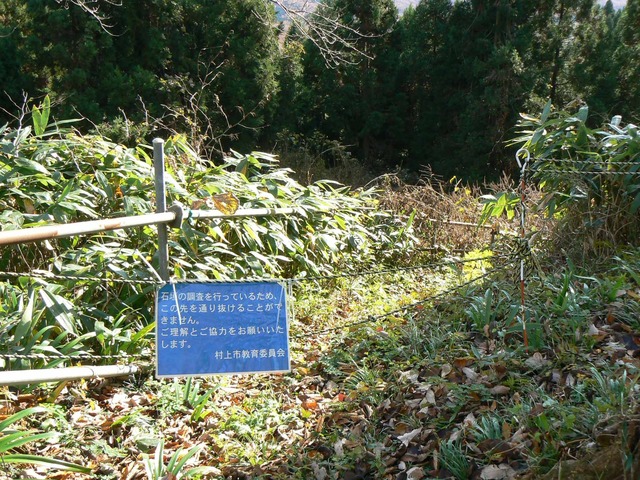 P1090703-2048.jpg