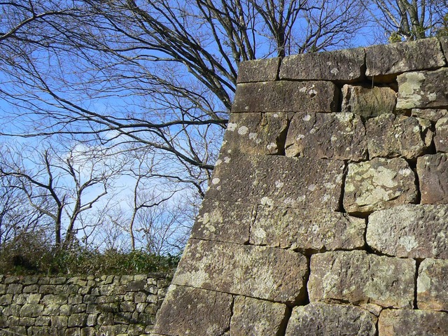 P1090711-2048.jpg