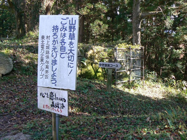 P1090715-2048.jpg
